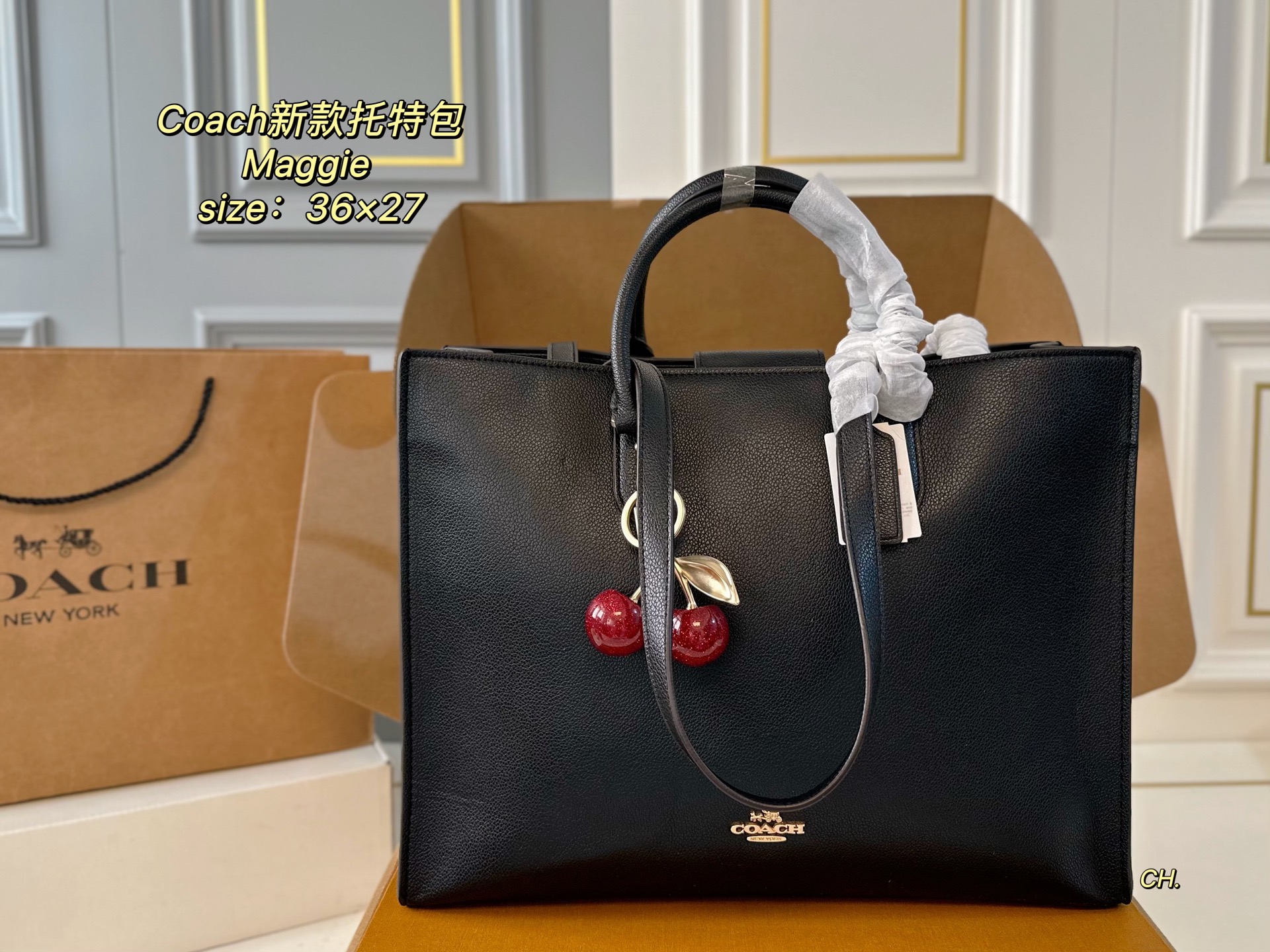 coach bag 122